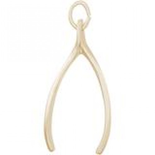 WISHBONE CHARM 0584